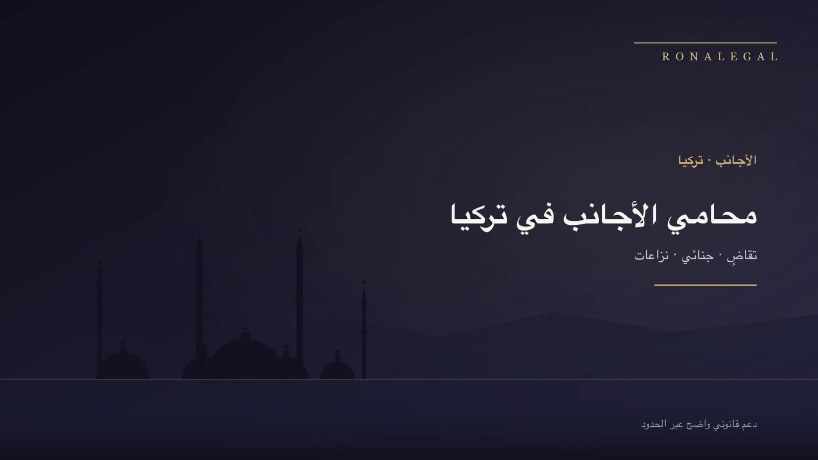 محامو الأجانب في تركيا — التقاضي وتسوية المنازعات القانونية